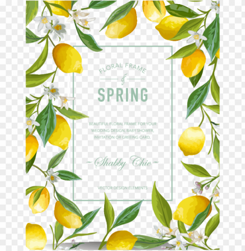 watercolor lemon border Clear Background PNG Isolated Item PNG transparent with Clear Background ID 42bd0ca2