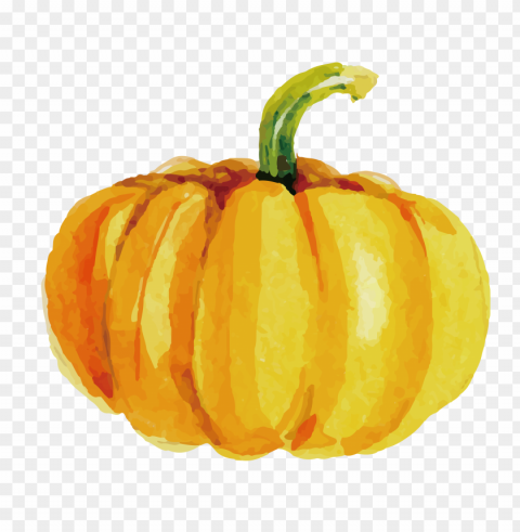 watercolor orange pumpkin high resolution Isolated Subject on HighResolution Transparent PNG