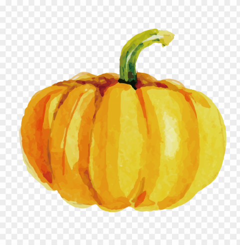 Watercolor Orange Pumpkin High Resolution Isolated Subject On HighResolution Transparent PNG