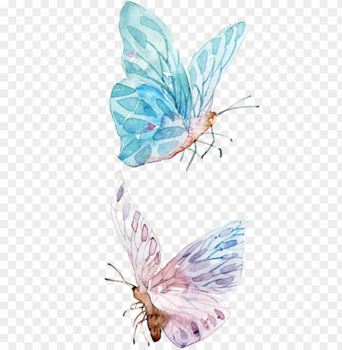 watercolor painting drawing clip art - watercolor butterfly illustration PNG transparent photos library