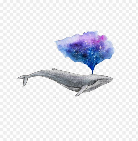 watercolor painting drawing whale art - watercolour whale Isolated Element on Transparent PNG