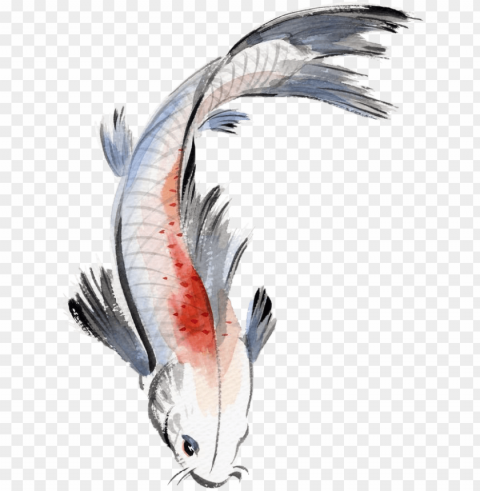 watercolor painting fish koi koifish watercolour japane - chinese fish painti PNG files with no background bundle
