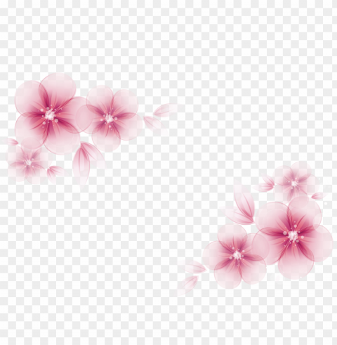 watercolor painting flower creative watercolor - pink flower vector PNG files with clear backdrop collection