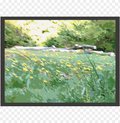 watercolor painting forest common dandelion computer - watercolor painting PNG with isolated background