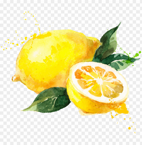 watercolor painting royalty free - lemon watercolor vector free PNG for use
