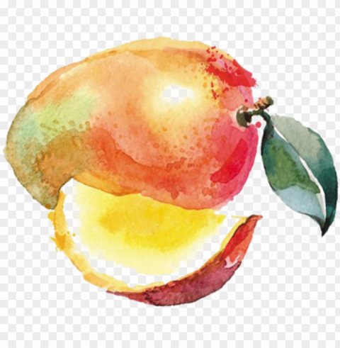 watercolor paintings fruits and vegetables Isolated Item on HighResolution Transparent PNG