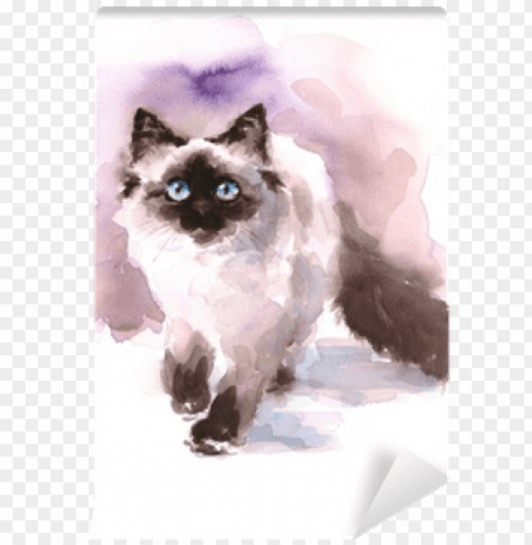 watercolor paintings of birman cats PNG transparent photos for presentations