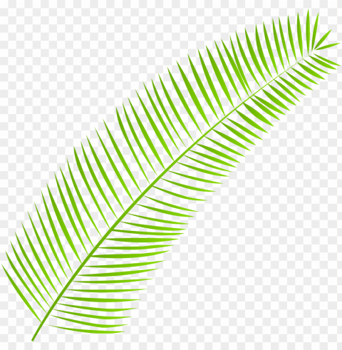 Watercolor Palm Leaves Image Royalty Library Clear PNG Images Free Download