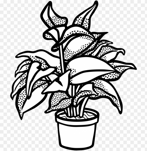watercolor potted plants clipart potted plants cactus - clip art black and white plant Isolated Element with Transparent PNG Background