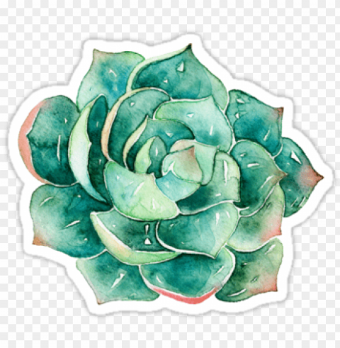 watercolor succulent sticker stickers by southprints - water color succulent Transparent picture PNG