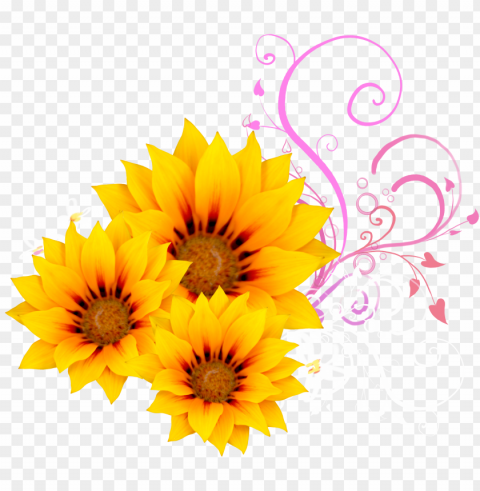 watercolor sunflower - sunflower design Isolated Element in HighResolution Transparent PNG