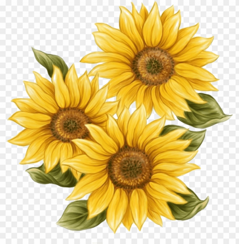 watercolor sunflower svg library download - watercolor sunflower Transparent PNG graphics complete collection