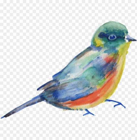 watercolor onlygfx - bird vector watercolor HighResolution Transparent PNG Isolation