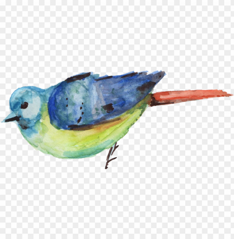 watercolor transparent onlygfx - watercolour bird Isolated Artwork in HighResolution PNG