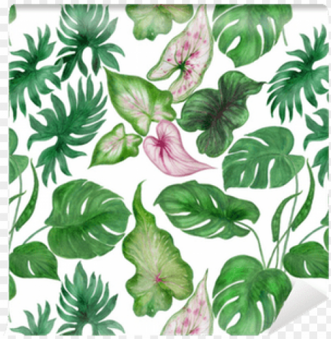 watercolor tropical leaves - watercolor painti Transparent PNG Isolated Illustration