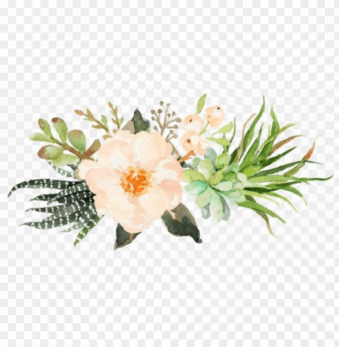 watercolor vector - watercolor watercolor PNG image with no background