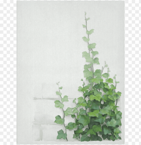 watercolor vines climbing plant cotton linen wall - green creeper wall painti PNG images with cutout