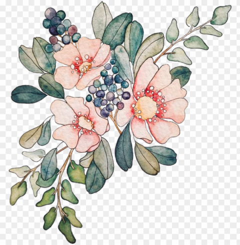 watercolor watercolour woter water rose flowers flower PNG images with no background necessary