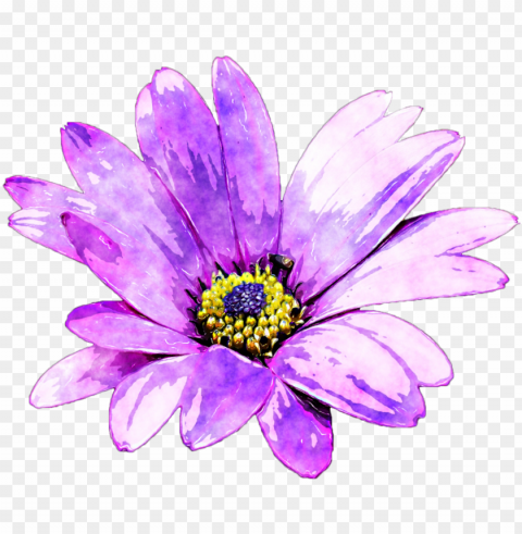 watercolour flower image free stock - watercolor purple daisy PNG icons with transparency