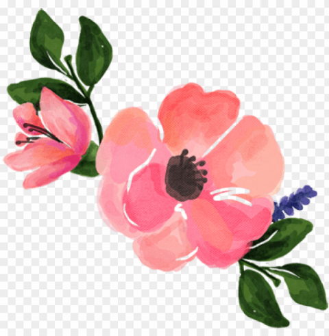 watercolour flower - watercolour pink flower PNG high resolution free