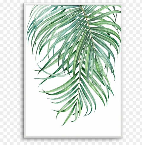 watercolour palms no 2 - watercolor painti Isolated Character in Clear Background PNG