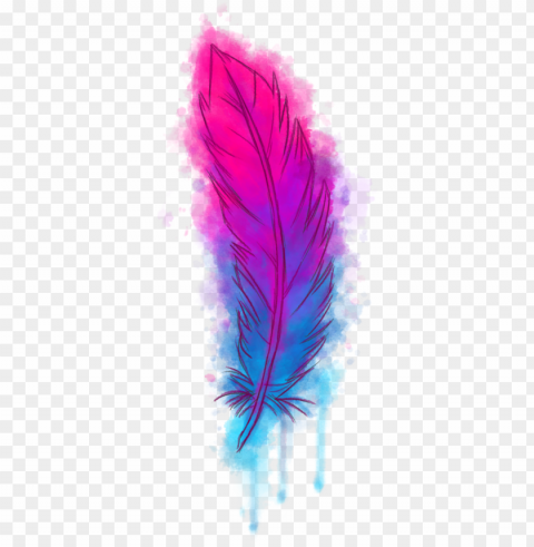 watercolour transparent - transparent feather PNG format with no background