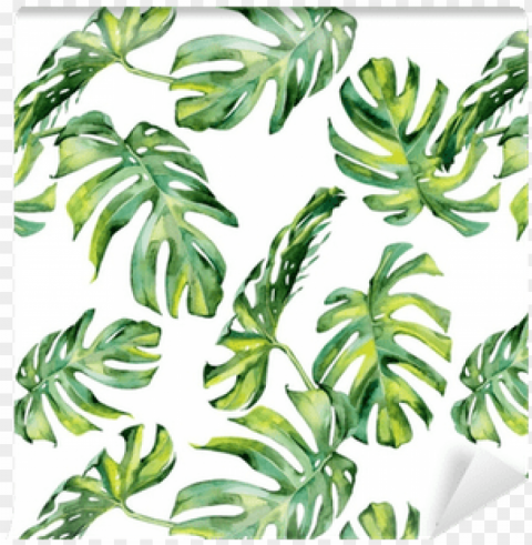 watercolour tropical leaf vector free PNG files with alpha channel assortment