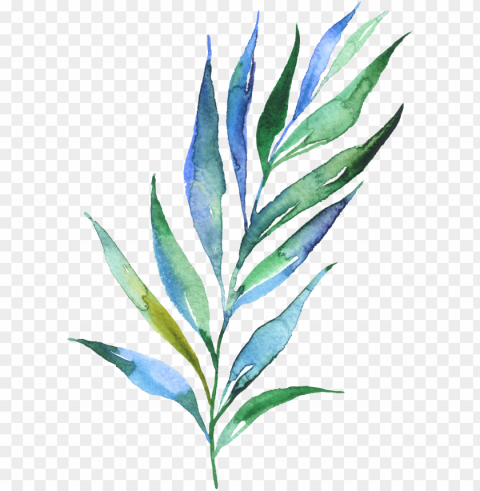 watercolour watercolor plants watercolour leaves - green plant watercolor tattoo Isolated Character with Clear Background PNG