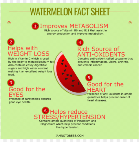 watermelon health facts - health fact Isolated Graphic on HighResolution Transparent PNG