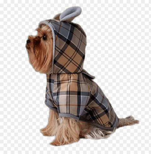 waterproof dog coat PNG photos with clear backgrounds