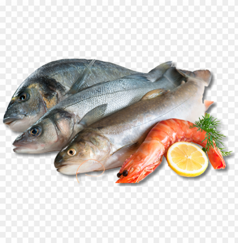 we also offer complimentary fish frying at all of our - fish and seafood Isolated Character on HighResolution PNG
