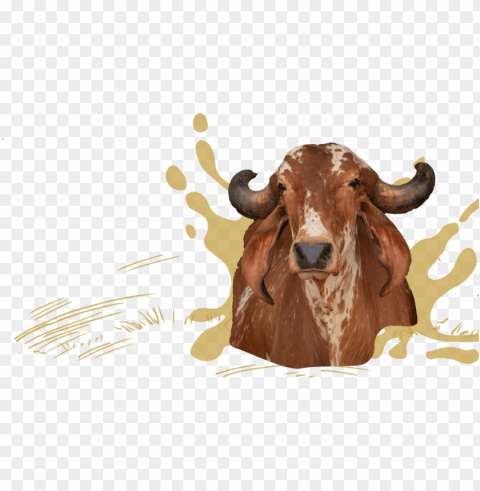 we are on a mission to revive the goodness of - bull Isolated Graphic on Clear PNG