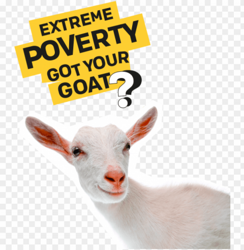 we paid for this goat - goat ClearCut Background PNG Isolation