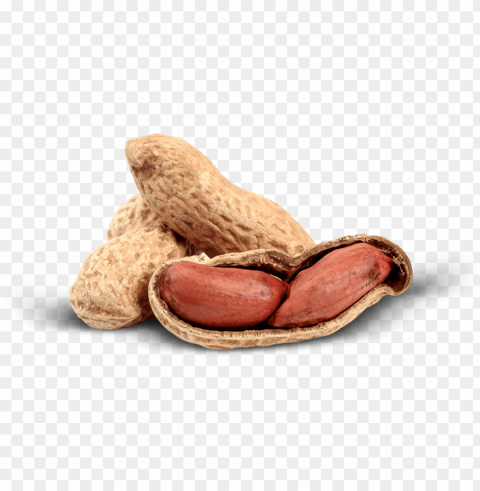 we value our close ties with our buyers and importers - peanut PNG images without watermarks PNG transparent with Clear Background ID d4c2c0e2