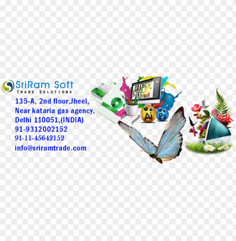 website designing in bhim nagar and bhgalweb development - lycaenid PNG without watermark free PNG transparent with Clear Background ID 70f77042