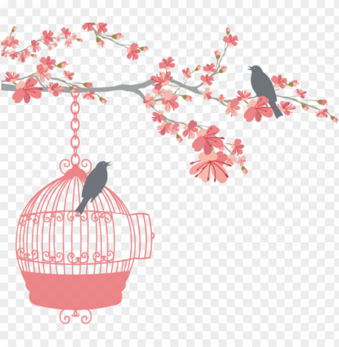wedding bird cage Transparent PNG Isolated Subject Matter