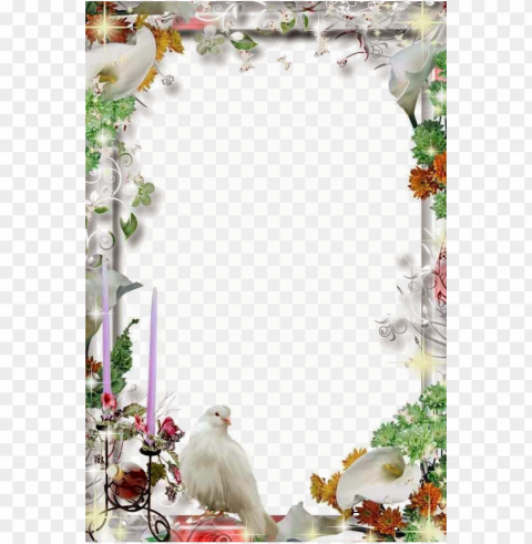 wedding frame transparent file white wedding - wedding photo frame PNG graphics