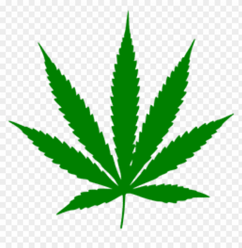 weed PNG Graphic Isolated on Clear Backdrop