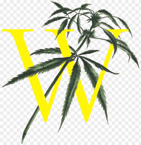 we're hosting a women in cannabis weekend PNG transparent designs