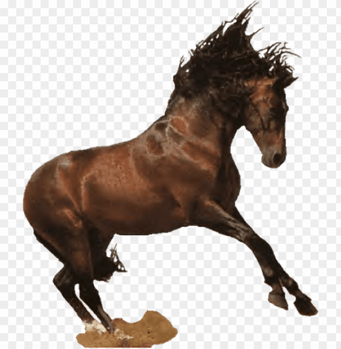 western horse jpg black and white library - horse western Isolated Graphic on Transparent PNG
