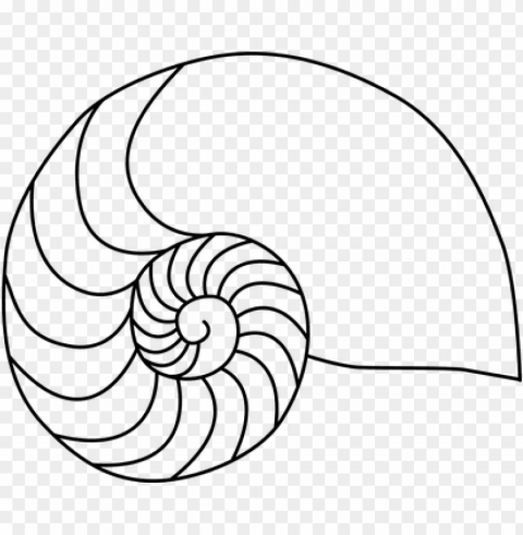 what is a fibonacci sequence - nautilus shell coloring page PNG transparent pictures for editing