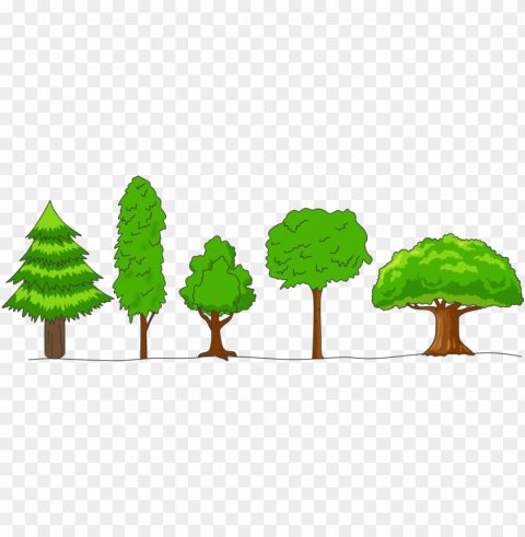 what is meant by crown of a tree draw any four shapes - crown shapes of trees PNG with isolated background