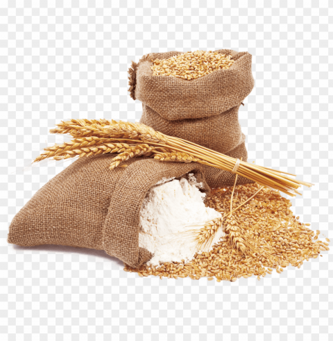 wheat and wheat flour - wheat flour Isolated Icon on Transparent PNG