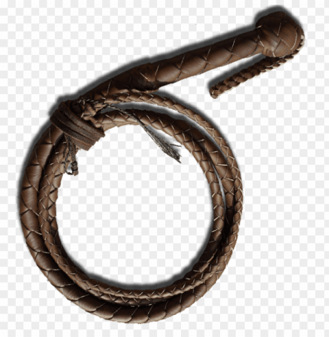 Whip PNG Graphic Isolated On Transparent Background