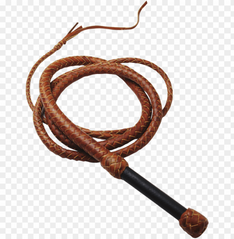 Whip PNG Graphics