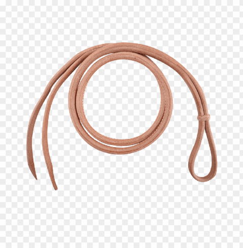 whip PNG graphics with transparency