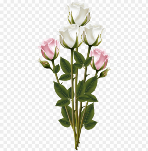 white and pink roses red roses pink rose bouquet - transparent bouquet Clean Background Isolated PNG Character