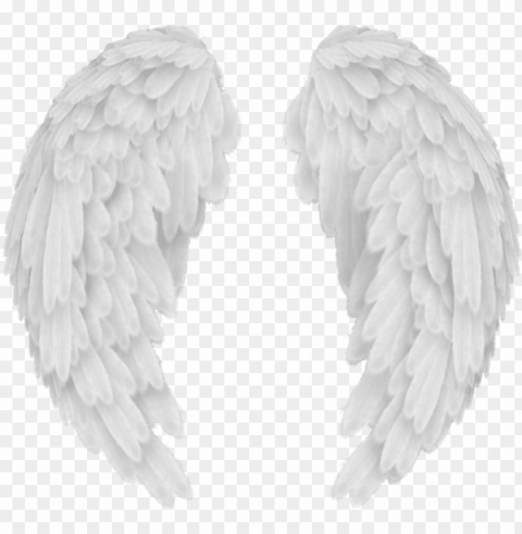 white angel wings transparent image - angel wings no ClearCut Background PNG Isolated Subject