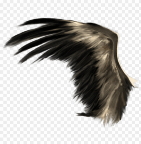white angel wings - realistic devil wings PNG for use