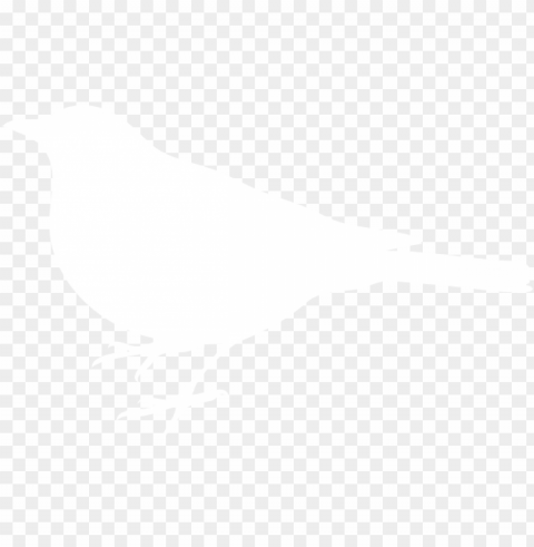 White Bird Black Clear Background PNG Isolated Element Detail